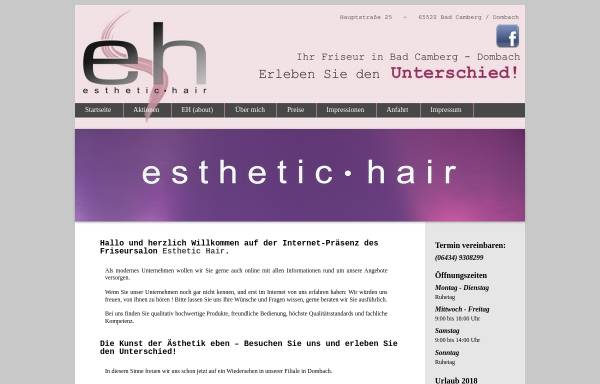 Vorschau von www.esthetic-hair.de, esthetic hair
