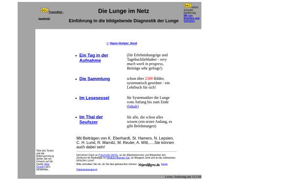 Vorschau von www.mevis-research.de, Die Lunge im Netz