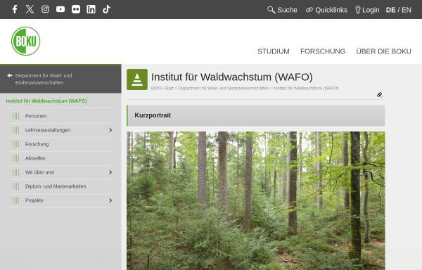 Vorschau von www.wabo.boku.ac.at, Institut für Waldwachstumsforschung