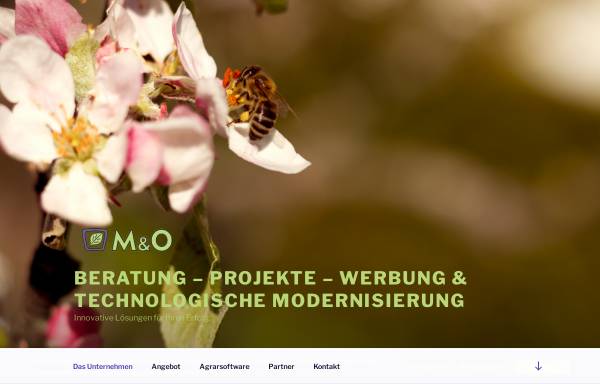 Vorschau von www.m-o.at, Mandl-Ostermann GmbH