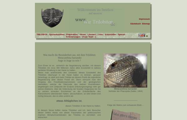 Vorschau von www.wir-trilobiten.de, Die Knirpse der Klasse Trilobita