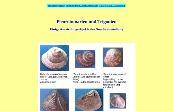 Vorschau von www.palaeo.de, Pleurotomarien und Trigonien