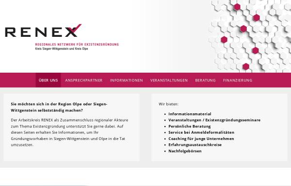 Vorschau von www.renex.org, RENEX - REgionales Netzwerk EXistenzgründung