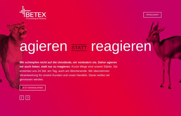Betex-IT Consulting & Solutions Herrmann und Krönke GbR