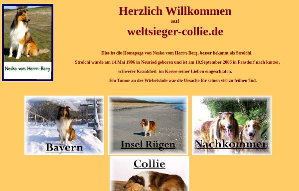 Vorschau von www.weltsieger-collie.de, Nesko vom Herrn Berg