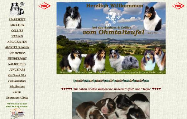 Vorschau von www.ohmtalteufel.de, Vom Ohmtalteufel