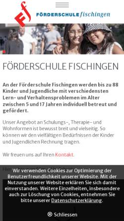 Vorschau der mobilen Webseite www.foerderschule.ch, Förderschule Fischingen