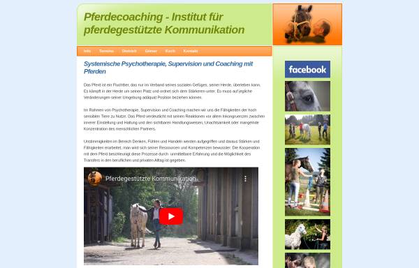 Vorschau von www.pferdecoaching.at, Verein Pferdecoaching