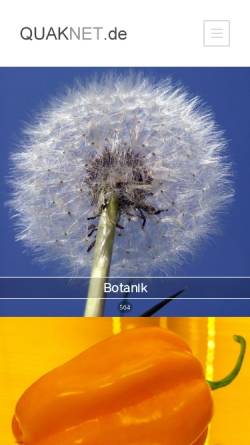 Quaknet, experimentelles Webdesign