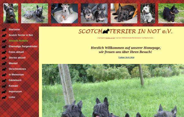 Vorschau von www.scotch-terrier-in-not.de, Scotch Terrier in Not e.V.