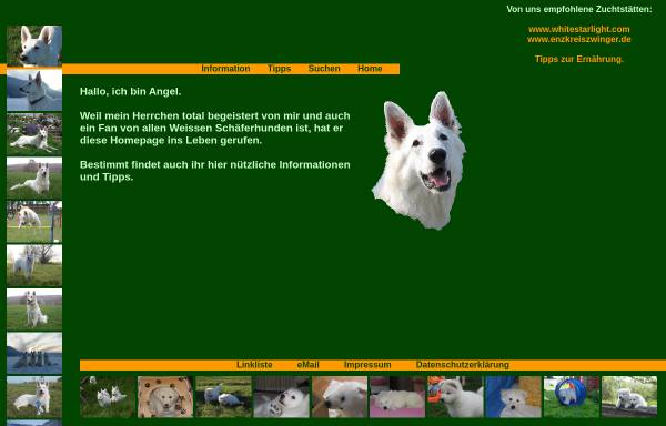 Vorschau von www.weisseschaeferhunde.com, Weisse Schäferhunde