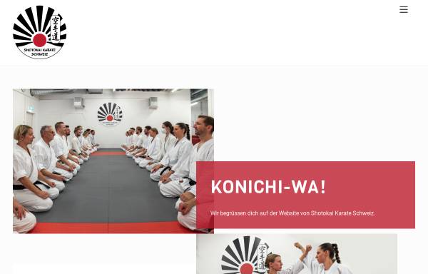 Vorschau von www.dasdojo.ch, Das Dojo Karateschule