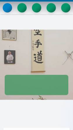 Vorschau der mobilen Webseite www.shingitai.de, Shin Gi Tai Kai Karate-Do e.V