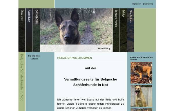 Vorschau von www.vermittlungsseite-fuer-belgische-schaeferhunde-in-not.de, Notvermittlung von Belgischen Schäferhunden
