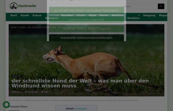 Windhund-Rennsport-Verein Solitude e.V.