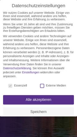 Vorschau der mobilen Webseite it-enterprise.de, Schmitt iT-Consulting