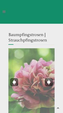 Vorschau der mobilen Webseite www.baumpfingstrosen.de, Rockii Päonien