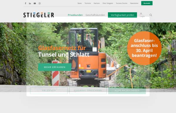 Vorschau von stiegeler.com, Stiegeler Computer Service