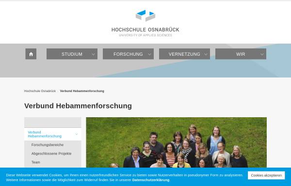 Vorschau von www.hebammenforschung.de, Verbund Hebammenforschung