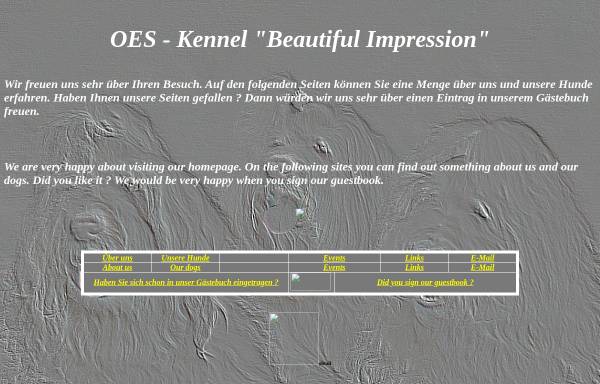 Vorschau von www.beautiful-impression-oes.de, Beautiful Impression