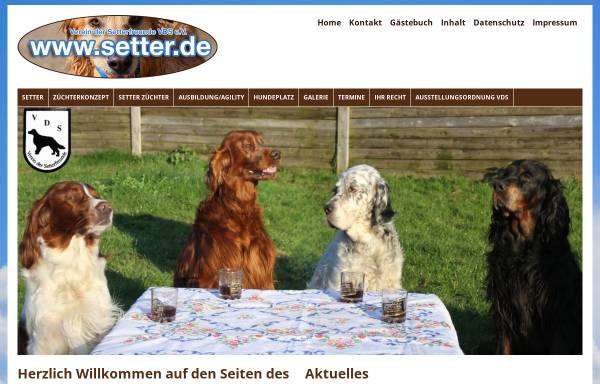 Vorschau von www.setter.de, Verein der Setterfreunde e.V.