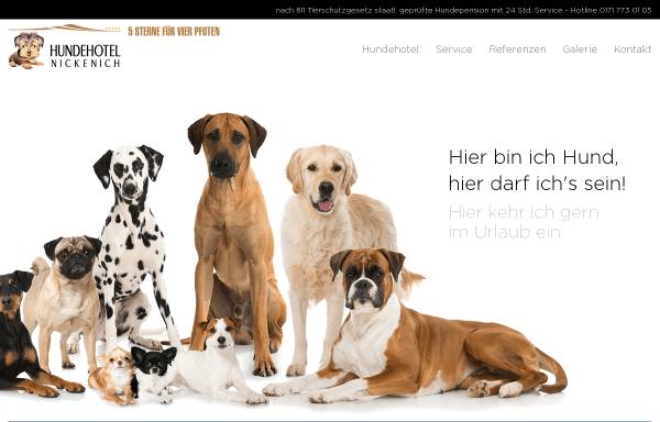 Vorschau von www.hundehotel-nickenich.de, Hundehotel Nickenich