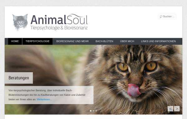 Vorschau von www.katzenprobleme.ch, Animalsoul - Praxis für Tierpsychologie