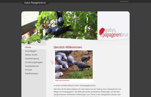 Vorschau von www.papageienbrut.de, Papageien Handaufzucht Gaby Nemeyer