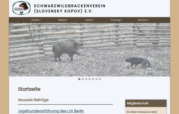 Vorschau von www.schwarzwildbracke.de, Schwarzwildbrackenverein (Slovensky Kopov) e. V.