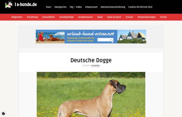 Vorschau von www.doggen-nothilfe.de, Doggen-Nothilfe e.V.