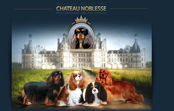 Vorschau von www.chateau-noblesse.com, Du château noblesse