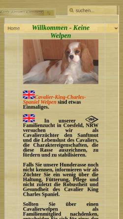 Vorschau der mobilen Webseite earlydream.de, Early Dream's