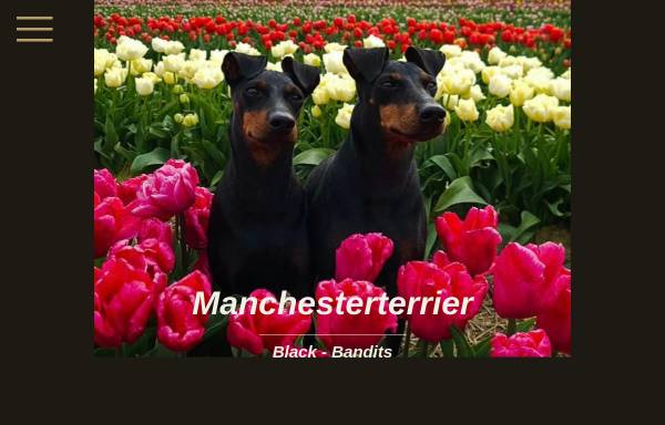Vorschau von www.manchester-terrier-black-bandits.de, Black Bandits