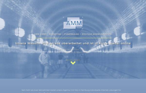 Vorschau von www.amm-gmbh.de, AMM GmbH