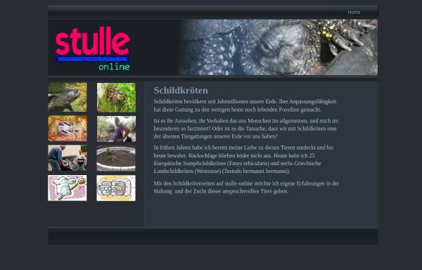 Vorschau von www.stulle-online.de, Schildkröten auf Stulle-online