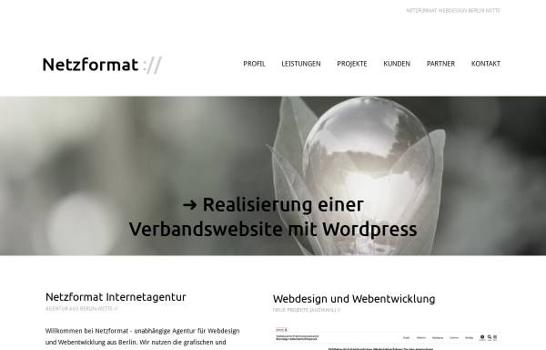 Vorschau von www.netzformat.de, Netzformat DMG