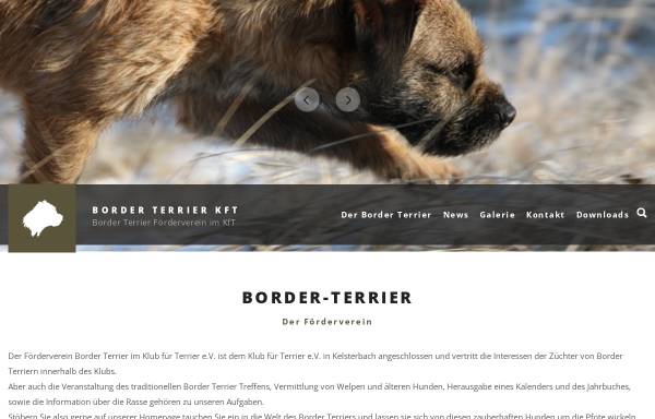 Förderverein Border Terrier