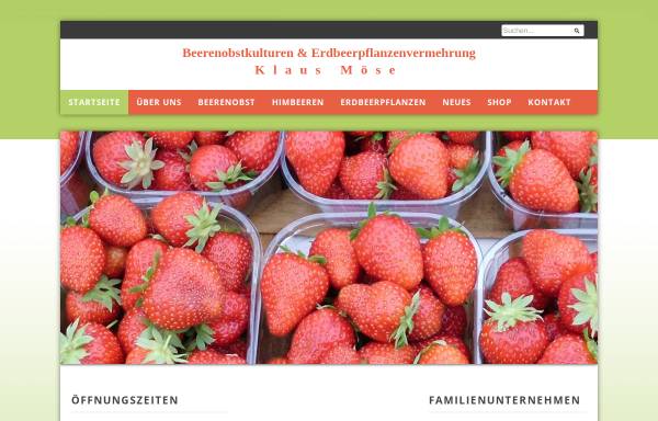 Vorschau von www.beerenobst-erdbeerpflanzen.de, Klaus Möse Beerenobstkulturen und Erdbeerpflanzenvermehrung