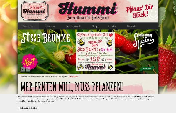 Vorschau von www.hummel-erdbeeren.de, Reinhold Hummel GmbH+Co.KG