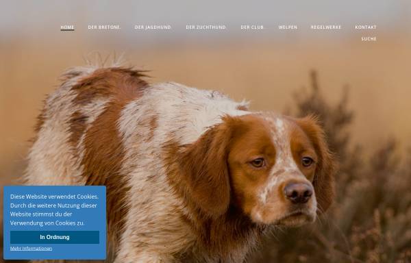 Vorschau von www.der-bretone.de, Club für Bretonische Vorstehhunde e.V.