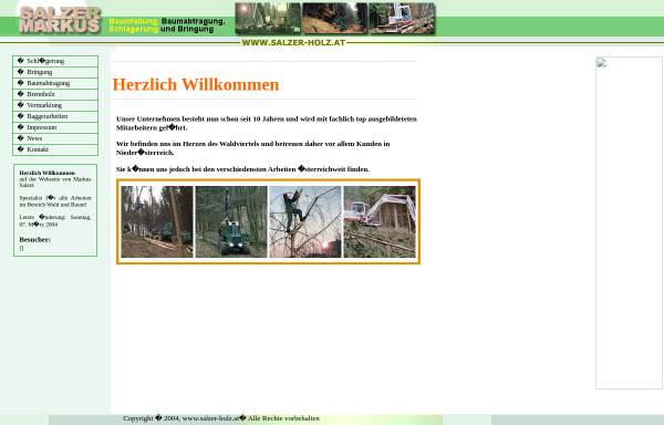 Vorschau von www.salzer-holz.at, Salzer Ges.m.b.H.