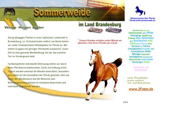 Sommerweide