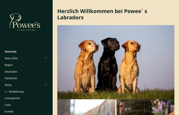 Vorschau von www.powees.de, Powee's