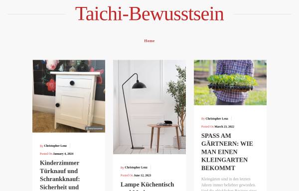 Vorschau von taichi-bewusstsein.de, GSTCF - Friedel Kremer