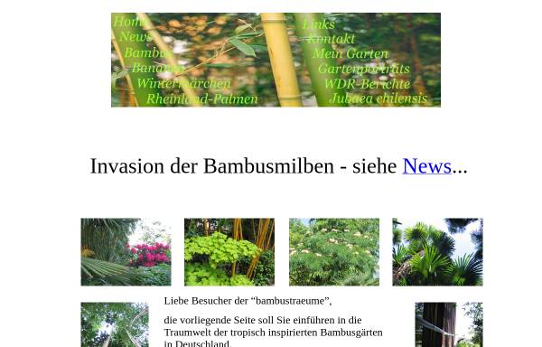 Vorschau von www.bambustraeume.de, Bambusträume