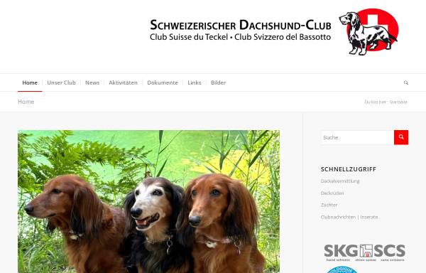 Vorschau von dackel.ch, Schweizerischer Dachshund Club