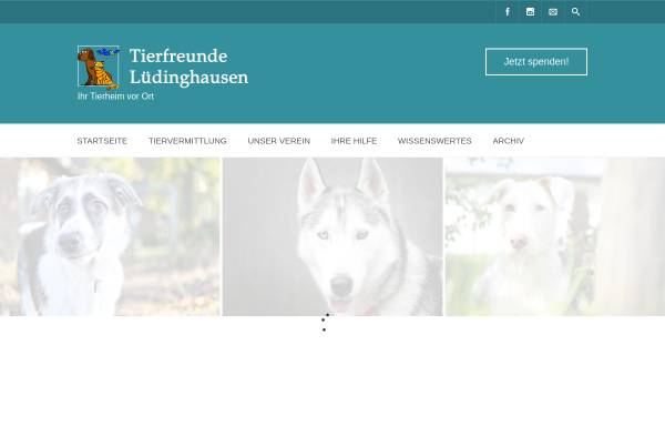 Vorschau von tierfreunde-luedinghausen.de, Tierfreunde Lüdinghausen und Umgebung e.V.