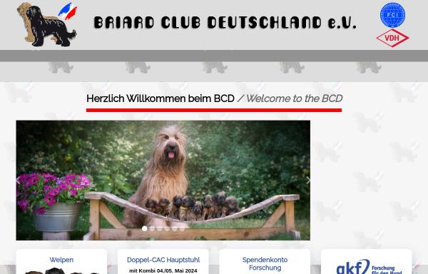 Vorschau von briardclub.de, Briard Club Deutschland e.V.