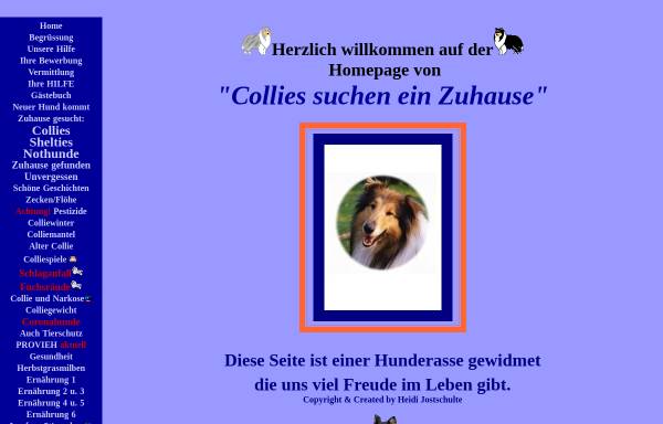 Vorschau von www.collies-suchen-ein-zuhause.de, Collies suchen ein Zuhause