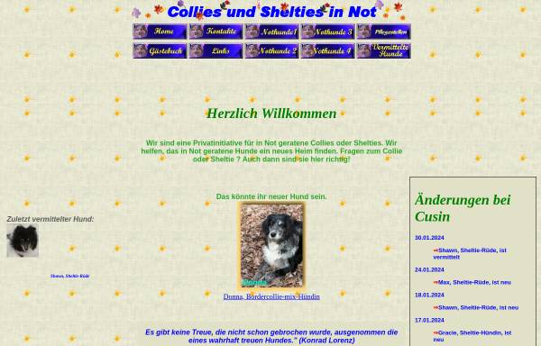 Vorschau von www.collies-und-shelties-in-not.de, Collies und Shelties in Not